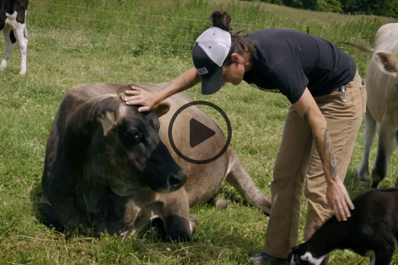 LNP Lancaster Farm Sanctuary Video